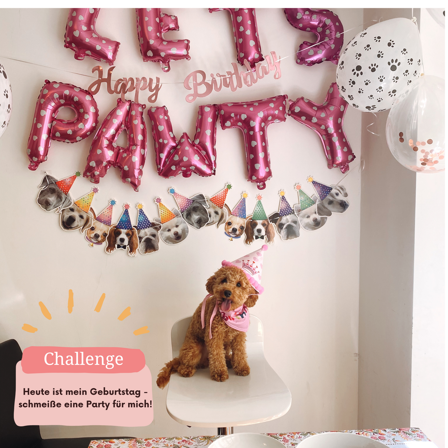 Challengebuch - Hunde Edition in Rosa