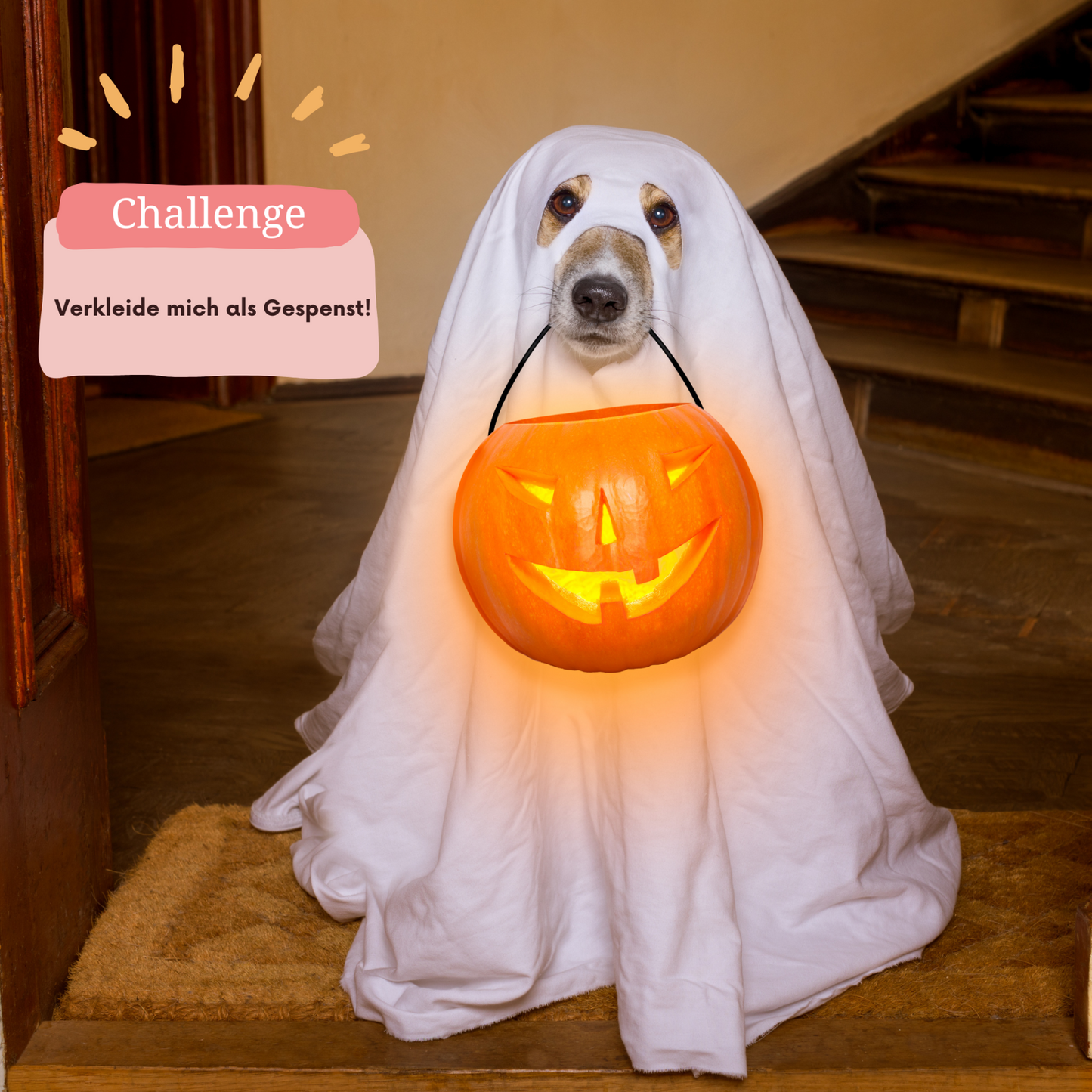 Challengebuch - Hunde Edition in Rosa